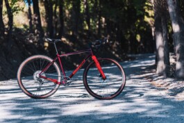 Bianchi Arcadex AL Aluminium Gravel Bike in burgundy/coral red