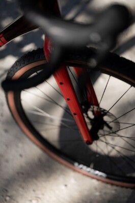 Gabel eines roten Arcadex AL