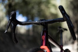 Cockpit eines roten Arcadex AL